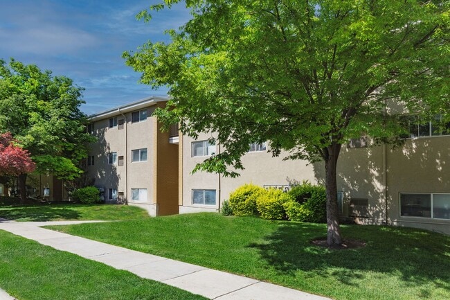 Interior Photo - Tortugas Apartments