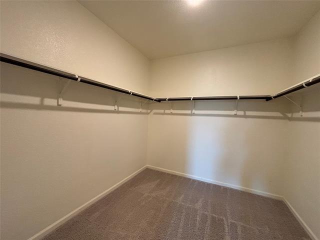 Building Photo - 704 Juniper St