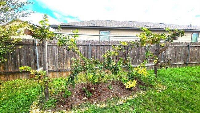 Building Photo - 7526 Rio Pass