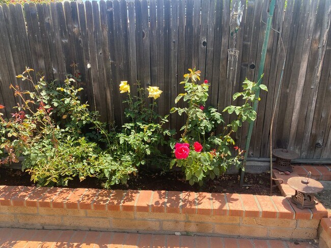 Building Photo - 3 Bedroom Home - Centrally Located with So...