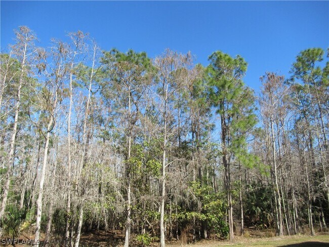 Building Photo - 7960 Preserve Cir