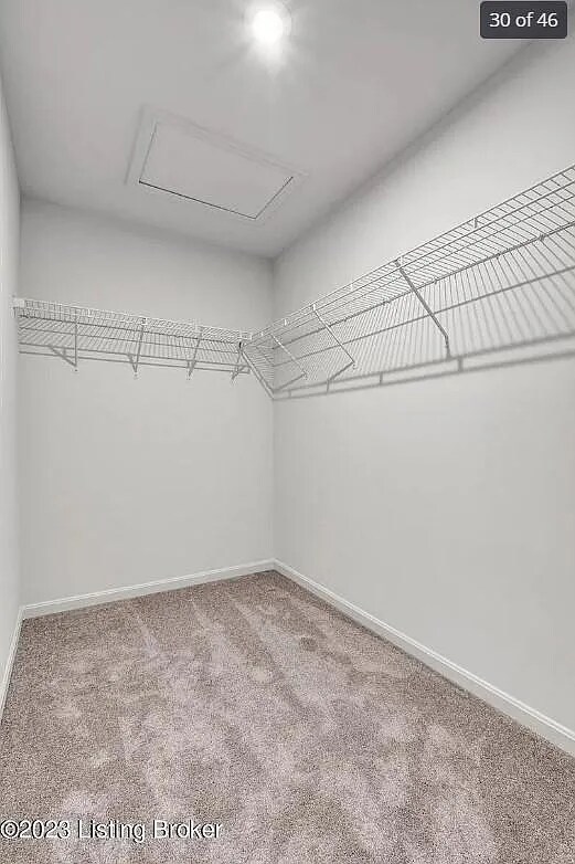 Building Photo - 7006 Black Cherry Ct