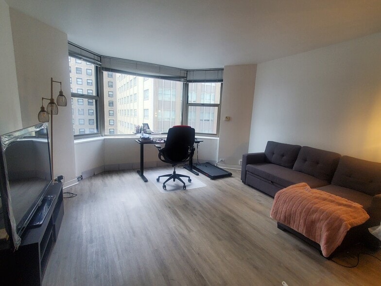 Living Room - 535 N Michigan Ave