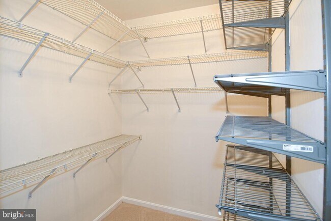 Building Photo - 11322 Westbrook Mill Ln