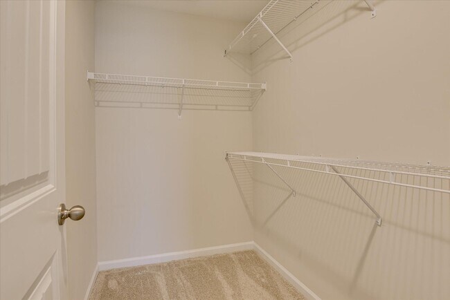 Building Photo - 2158 Catlet Ct
