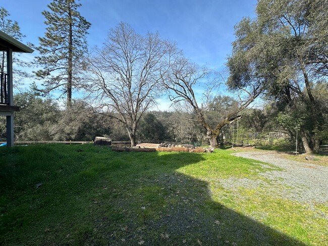 Primary Photo - Beautiful home with lots of Land in Grass ...