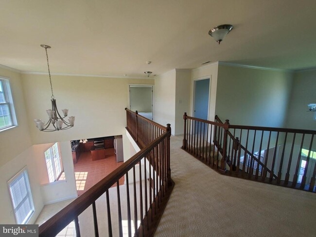 Building Photo - 33 Saphire Ct