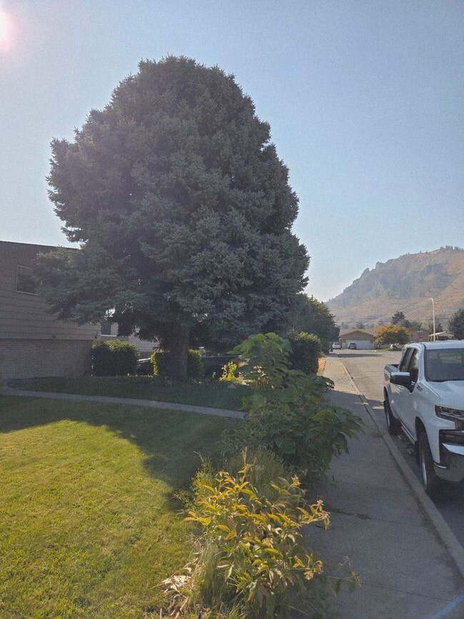 Building Photo - 3Bedroom, 2.5 Bath Mid Century Modern Home...