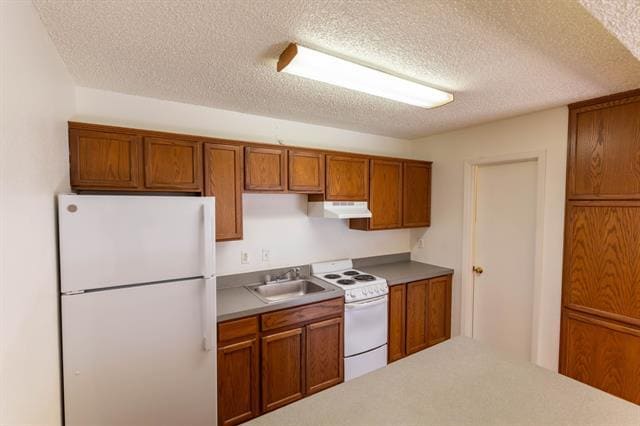 Building Photo - 4905 El Campo Ave