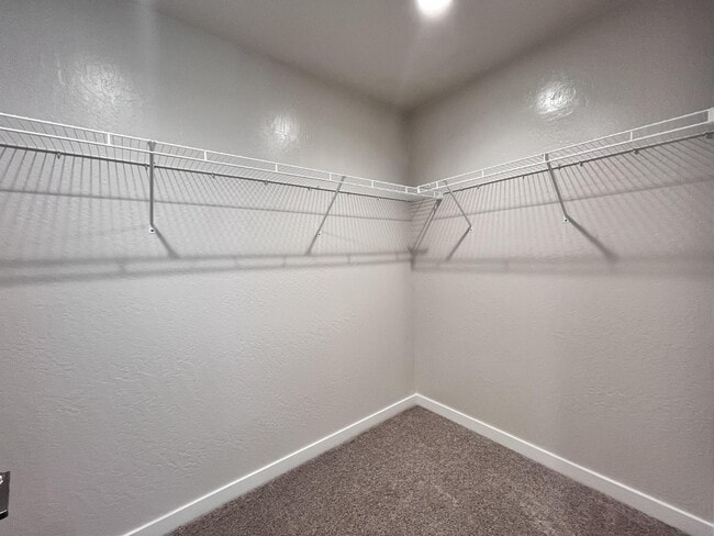 Building Photo - 2909 E Veleta Dr