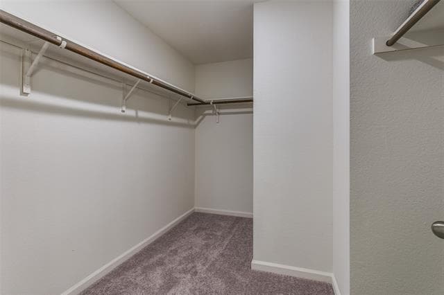 Building Photo - 10301 Castle Lyons Ln