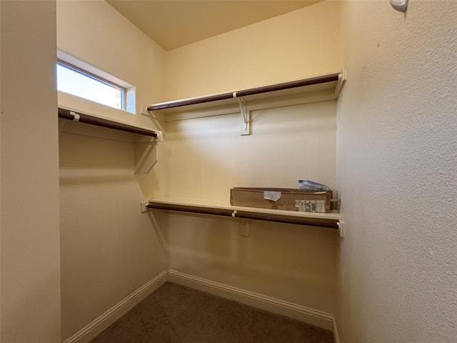 Building Photo - 2807 Borama Dr