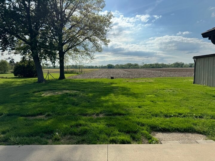Backyard - 7255 Gomer Rd