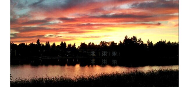 Building Photo - 31003 14th Ave S