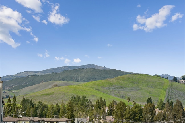 Building Photo - 4 Bed 5 Bath, Beautiful Home In Danville, With A Pool!