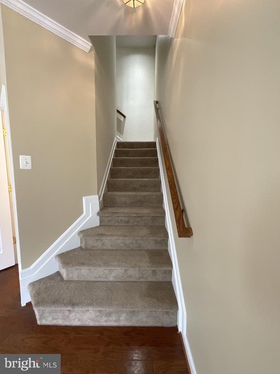 Building Photo - 117 Leather Fern Way