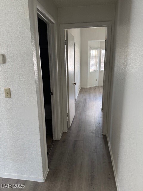 Building Photo - 1429 Lilac Breeze Cir