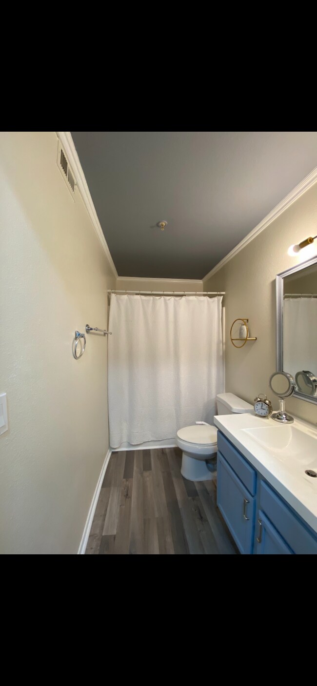 Master Bathroom - 2100 Jetty Rock Dr