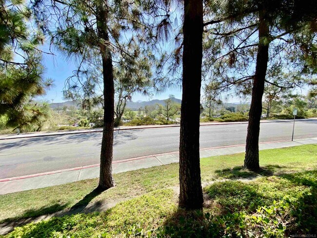 Building Photo - 15078 Avenida Venusto