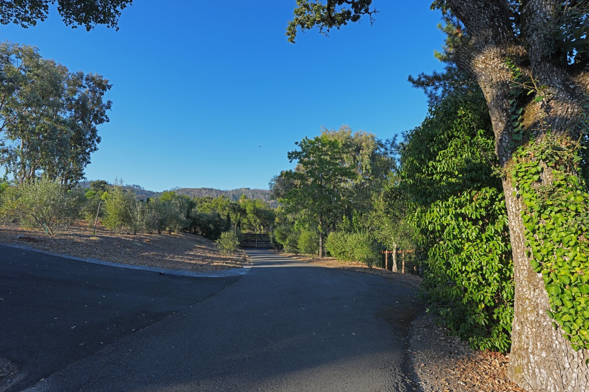 Building Photo - 5644 Sonoma Hwy