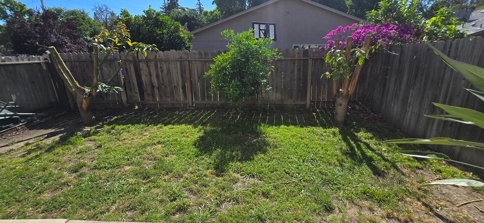 Backyard - 3318 Blue Ridge Cir