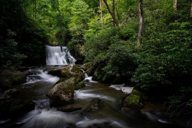 Building Photo - 644 Gladdens Creek Rd