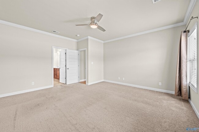 Building Photo - 3013 Mallard Point Dr SE