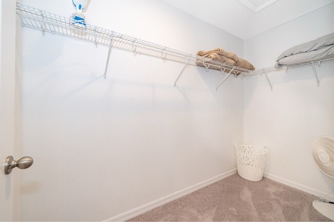 Building Photo - 1013 Plantation Ln