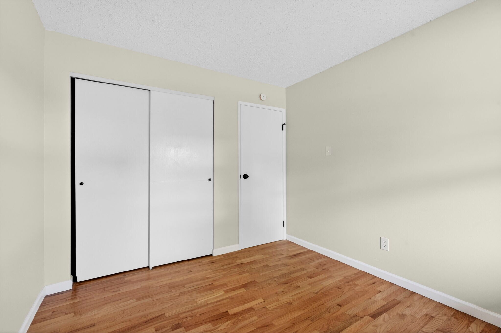 Bedroom 2 - 2246 Bensonhurst Dr