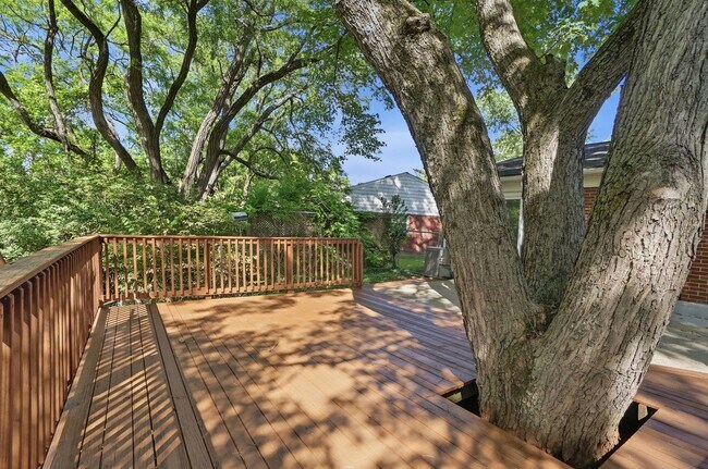 Building Photo - Three Bedroom Home with Great Outdoor Entertainment Space!