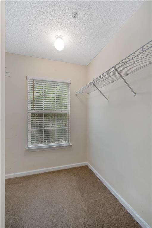 Building Photo - 220 Magnolia Leaf Dr