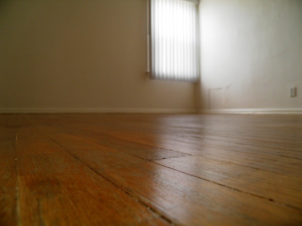 Building Photo - 1269 S Ridgeley Dr