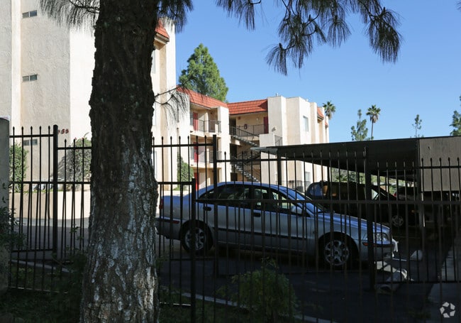 Building Photo - Palm Circle Apartments