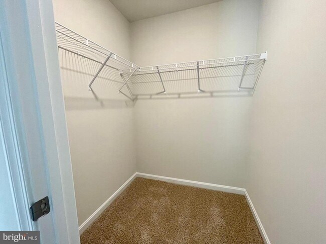 Building Photo - 28 Citrus Dr