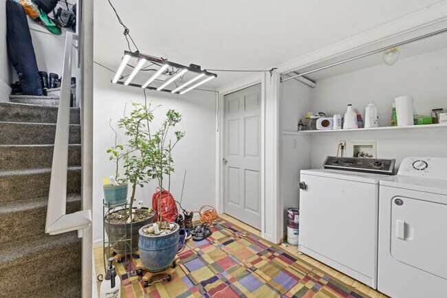 Building Photo - Cozy 1-Bed 1-Bath Basement Apartment blocks from CSU!