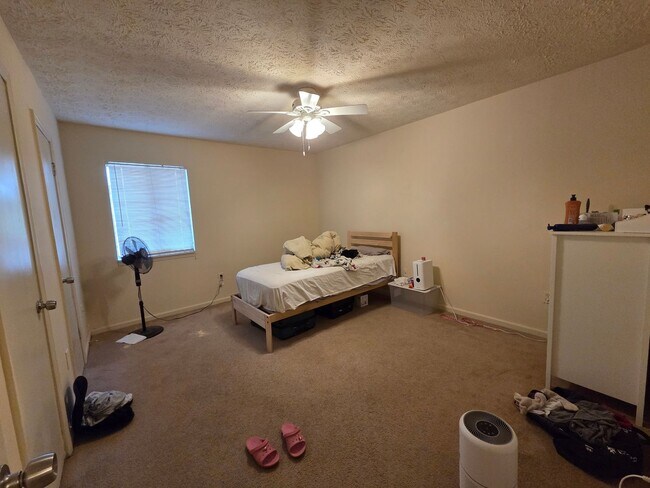 Building Photo - Campus View Apt-Walking Distance to UGA!