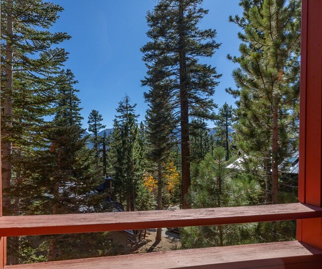 Building Photo - 91 St Moritz Rd