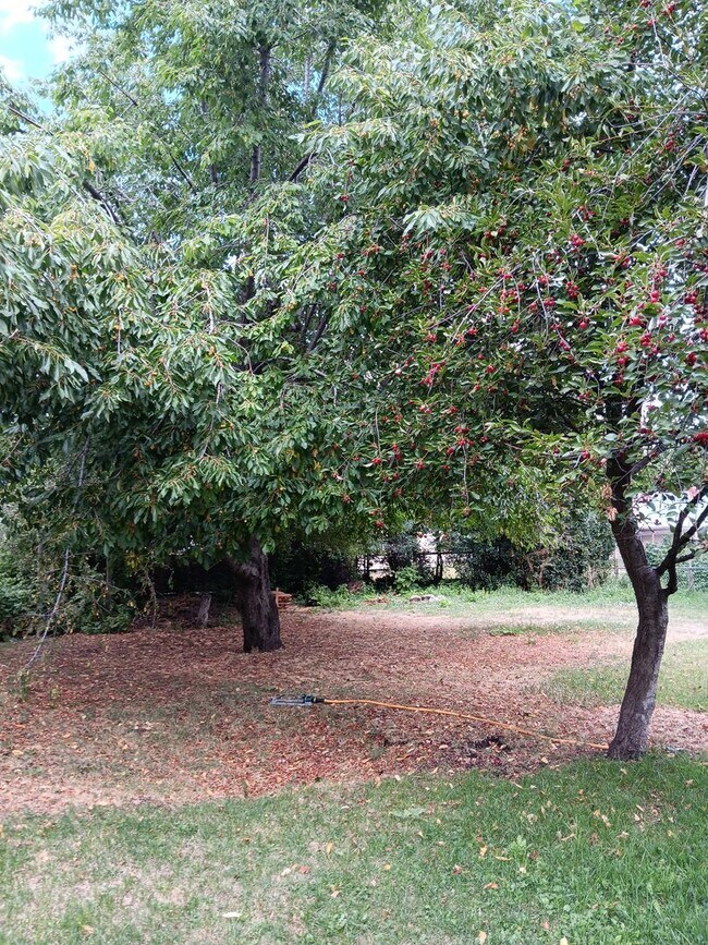 Building Photo - 3 Bed House in La Grande