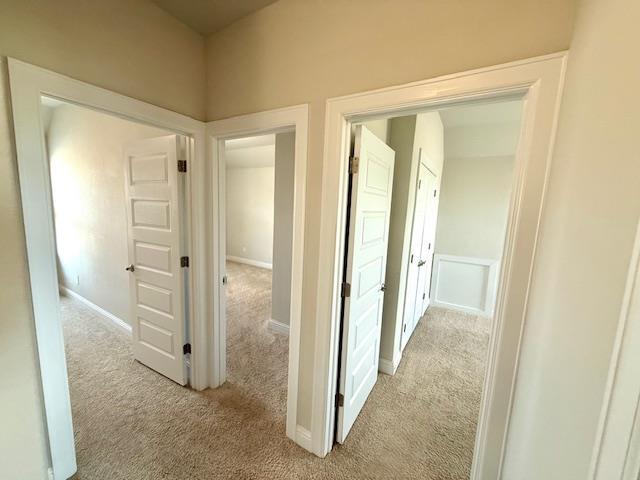 Building Photo - 429 Spiny Lizard Ln
