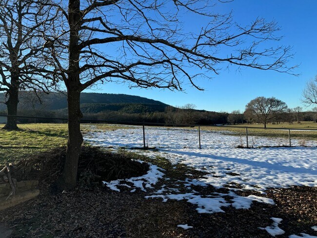 Building Photo - 3/2 on 5 Acres!