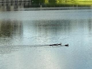 Building Photo - 3089 Inglewood Terrace