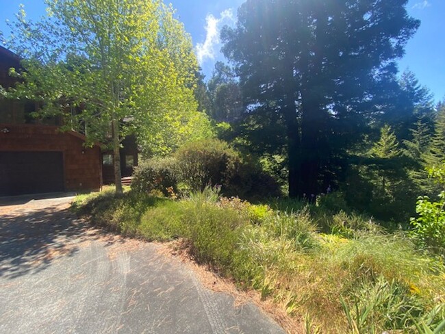 Building Photo - Private / executive 3/2 by Sequoia Park