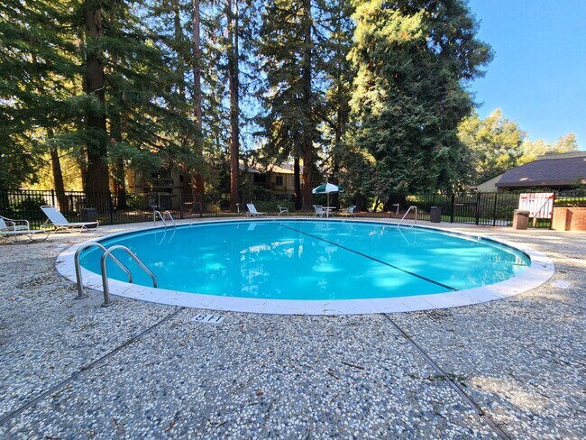 Building Photo - Charming 2BR/2BA Condo Steps from Downtown Mountain View