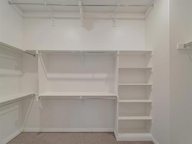 Building Photo - 7228 Sideoats Gama St