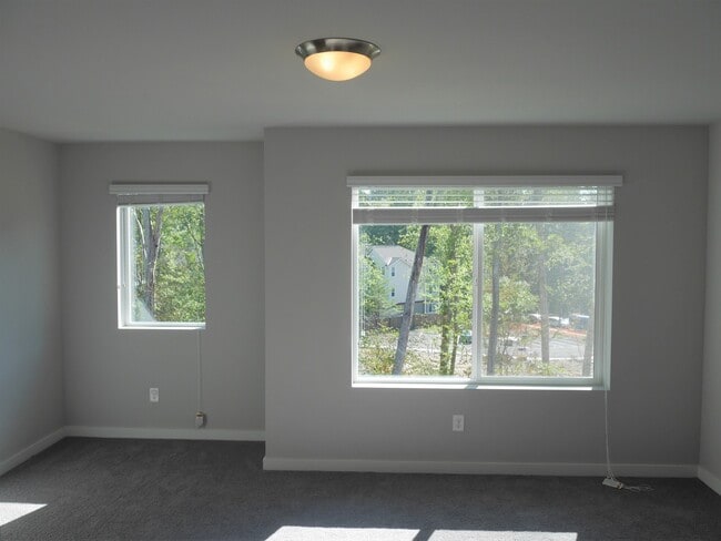 Building Photo - Beautiful Modern Townhouse in Arcadia Terrace