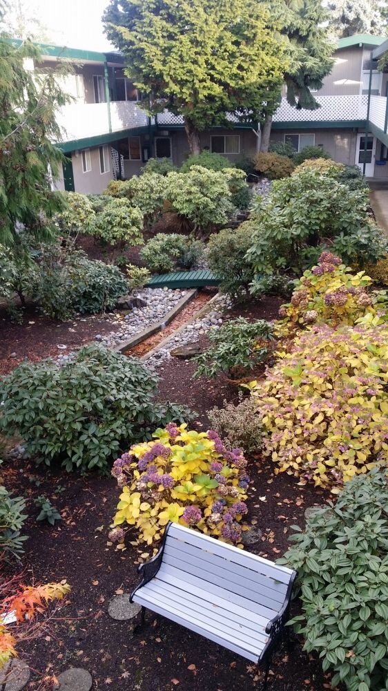 Studio 7823 Pacific Ave WA 98408 Apartment Finder