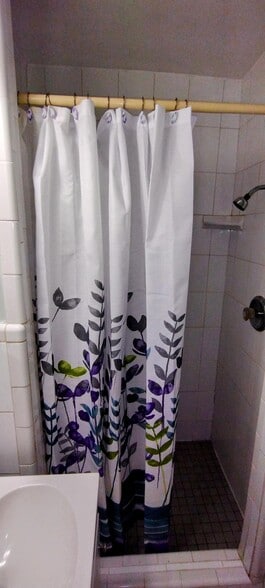 shower - 455 39th Ave N