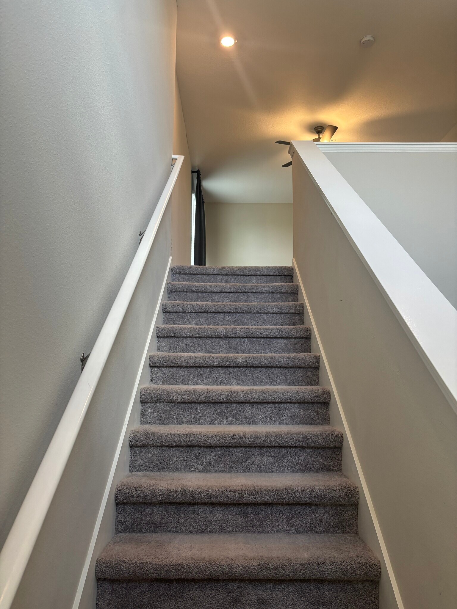 Building Photo - 9663 Channing Hill Dr