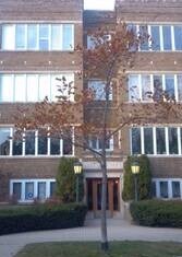 Front of building - 1130 W Morse Ave