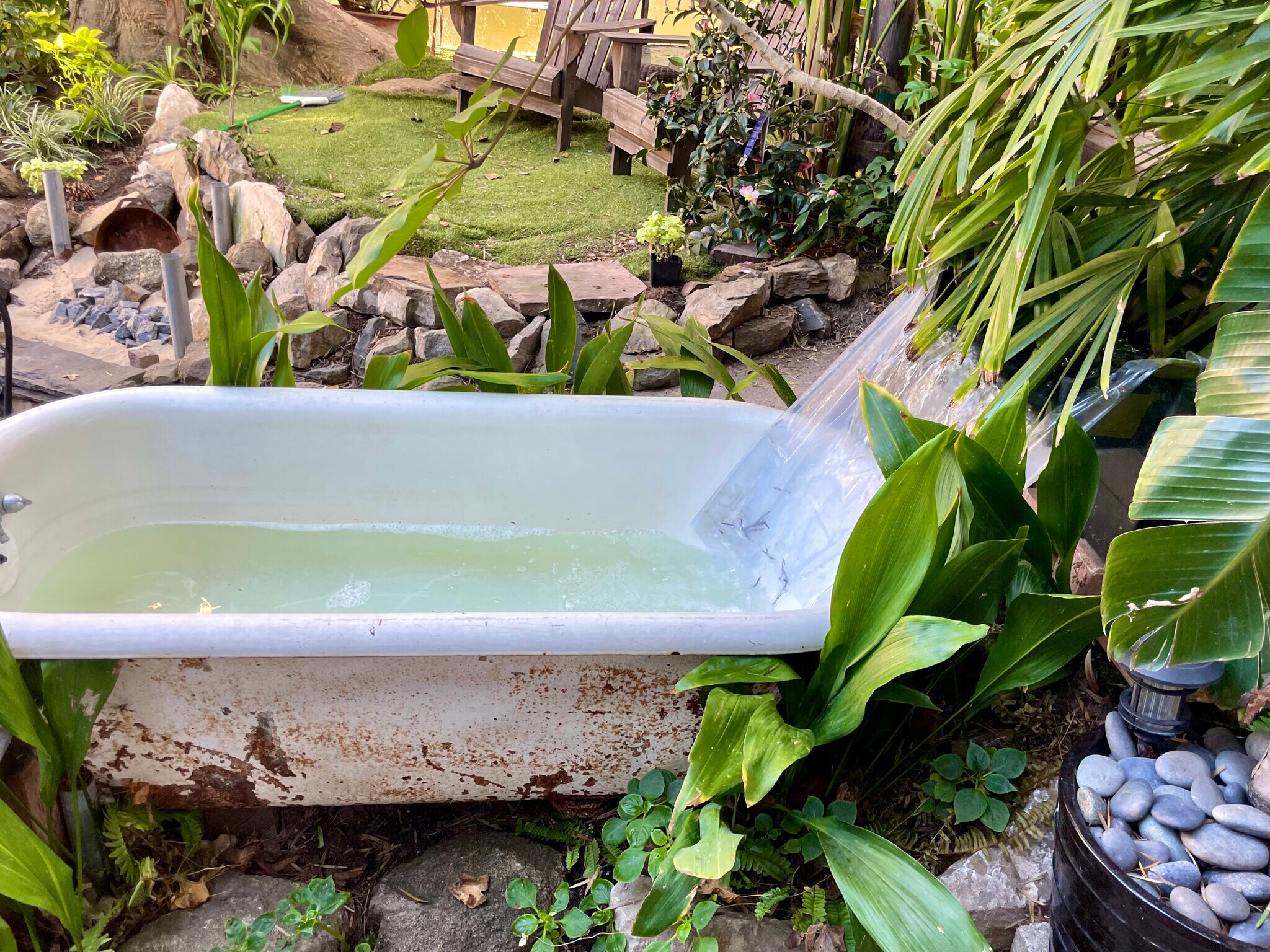 Cold plunge - Shared courtyard with four other bungalows - 2918 Pacific Ave